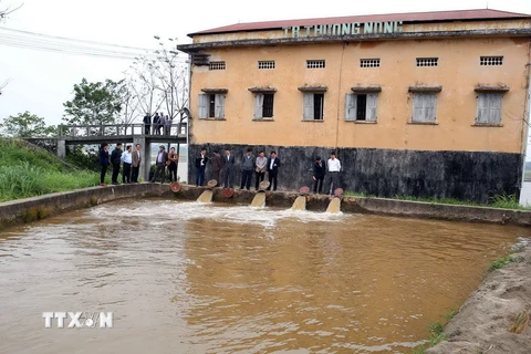 Kiểm tra việc lấy nước làm đất cấy lúa vụ Đông Xuân tại huyện Tam Nông (Phú Thọ). (Ảnh: Vũ Sinh/TTXVN)