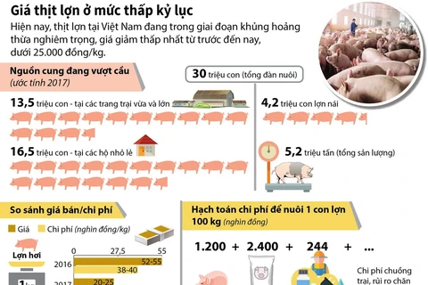 Giá thịt lợn đang ở mức thấp kỷ lục.