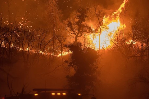 Cháy rừng tại California. (Nguồn: Abcnews)