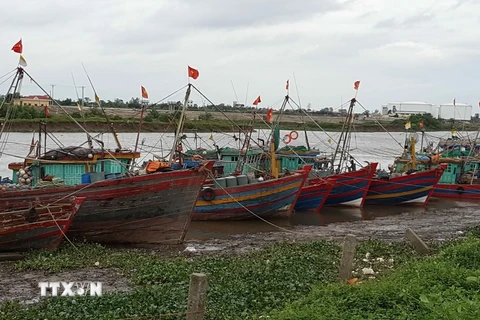 Các tàu thuyền neo đậu tránh trú bão tại khu vực cảng Diêm Điền, huyện Thái Thụy, Thái Bình. (Ảnh: Công Hải/TTXVN)