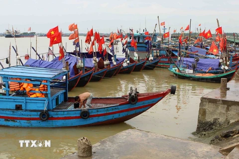Ngư dân neo đậu tàu thuyền tránh bão dọc ven biển Cửa Hội sáng 16/7. (Ảnh: Thanh Tùng/TTXVN)
