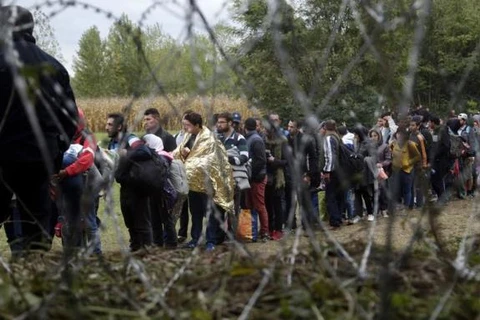 Người nhập cư ở biên giới Croatia-Hungary hồi cuối năm 2015. (Nguồn: Die Welt)