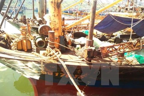 Hàng loạt tàu vỏ thép ở Bình Định vừa được đóng mới đã bị sét gỉ, hư hỏng nặng. (Ảnh: Nguyên Linh/TTXVN) 