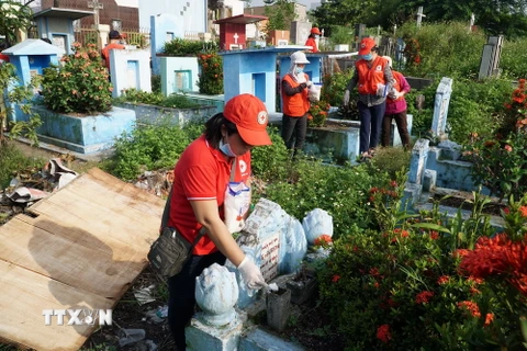 Bỏ muối vào từng lư hương, bình cắm hoa trên các ngôi mộ ở các nghĩa trang để diệt ấu trùng bọ gậy, diệt muỗi. (Ảnh: Phương Vy/TTXVN)