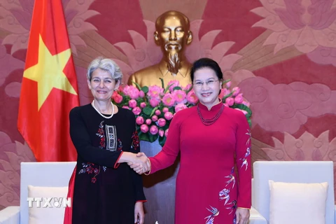 Chủ tịch Quốc hội Nguyễn Thị Kim Ngân tiếp bà Irina Bokova, Tổng Giám đốc Tổ chức Giáo dục - Khoa học và Văn hóa của Liên hợp quốc (UNESCO) đang thăm chính thức Việt Nam. (Ảnh: Trọng Đức/TTXVN)