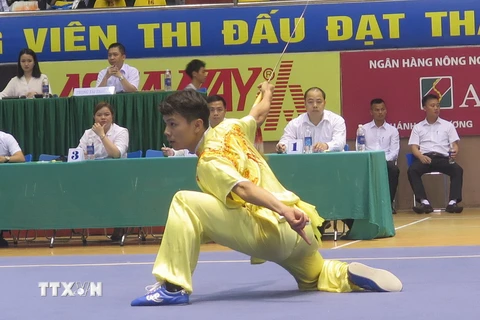 Vận động viên tại một Giải vô địch Wushu toàn quốc. (Ảnh minh họa. Nguồn: TTXVN)