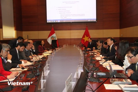 Kỳ họp lần thứ nhất Ủy ban liên Chính phủ Việt Nam-Peru về các vấn đề kinh tế và hợp tác kỹ thuật. (Ảnh: Diệu Hương/Vietnam+)