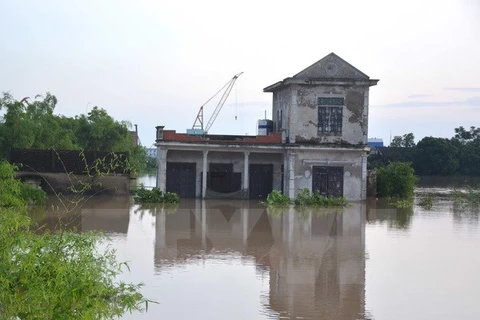 Một ngôi nhà tại xã Yên Bằng, huyện Ý Yên, Nam Định bị ngập trong nước. (Ảnh: Công Luật/TTXVN)