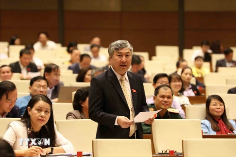 Đại biểu Quốc hội tỉnh Bắc Giang Trần Văn Lâm phát biểu ý kiến. (Ảnh: Phương Hoa/TTXVN)