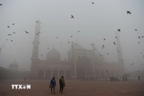 Khói bụi ô nhiễm bao phủ New Delhi, Ấn Độ ngày 8/11. (Nguồn: AFP/TTXVN)