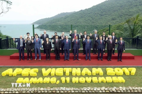 Chủ tịch nước Trần Đại Quang và các Trưởng đoàn các nền kinh tế thành viên APEC chụp ảnh chung. (Ảnh: TTXVN)
