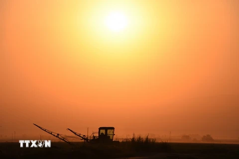 Quang cảnh một cánh đồng trong nắng gắt ở gần Bakersfield, bang California, Mỹ. (Nguồn: AFP/ TTXVN)
