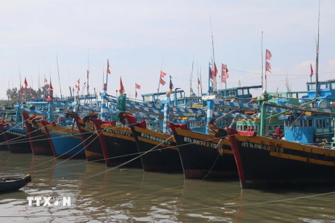 Tàu thuyền được chằng buộc neo đậu trên sông Cà Ty-Phan Thiết, Bình Thuận. (Ảnh: Nguyễn Thanh/TTXVN)