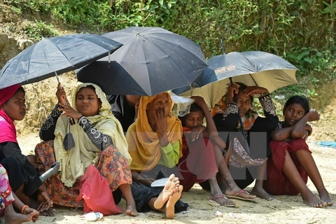 Người tị nạn Rohingya tại khu trại tạm Kutupalong ở Ukhia, Bangladesh ngày 25/10, sau khi sơ tán khỏi bang Rakhine của Myanmar. (Nguồn: AFP/TTXVN)