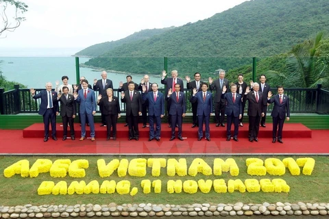 Chủ tịch nước Trần Đại Quang và các Trưởng đoàn các nền kinh tế thành viên APEC chụp ảnh chung. (Ảnh: TTXVN) 