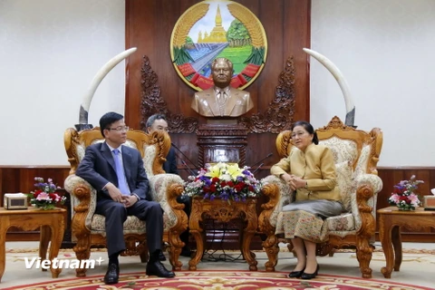 Quang cảnh buổi tiếp. (Ảnh: Phạm Kiên/Vietnam+)