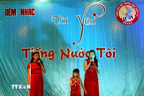 Tiết mục đoạt giải nhất phần thi 'Cả nhà cùng hát.' (Ảnh: Trần Quang Vinh/TTXVN)