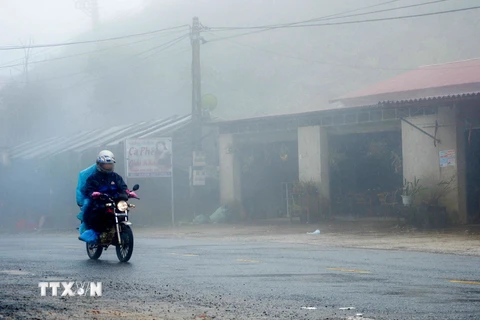 Các phương tiện giao thông di chuyển khó khăn trong sương mù, lạnh giá trên đỉnh đèo Pha Đin. (Ảnh: Văn Dũng/TTXVN)