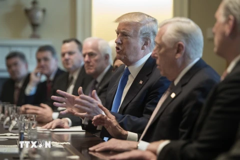 Tổng thống Mỹ Donald Trump (thứ 3, phải) trong cuộc họp với các nghị sĩ lưỡng đảng tại Washington DC., ngày 9/1. (Nguồn: AFP/TTXVN)