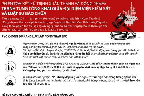 Tranh tụng công khai tại phiên tòa xử Trịnh Xuân Thanh