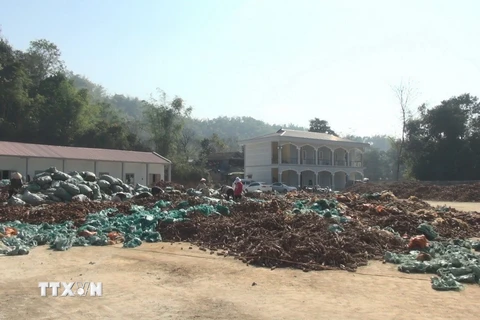 Phía trong Nhà máy chế biến tinh bột sắn Của công ty cổ phần tinh bột Hồng Diệp- Điện Biên. (Ảnh: Xuân Tiến/TTXVN)