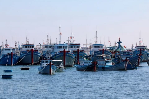 Đội tàu đánh bắt xa bờ của huyện đảo Phú Quý. (Ảnh : Nguyễn Thanh/TTXVN)