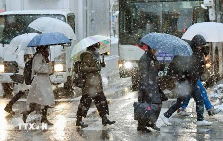 Tuyết rơi dày đặc tại Tokyo, Nhật Bản ngày 2/2. (Nguồn: Kyodo/TTXVN)