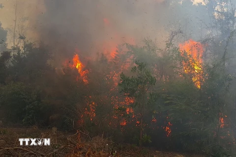 Đám cháy bùng phát mạnh tại lâm phần Ban quản lý rừng phòng hộ Ia Grai, thuộc địa phận xã Ia Chía, huyện Ia Grai, tỉnh Gia Lai. (Ảnh: Hồng Điệp/TTXVN)