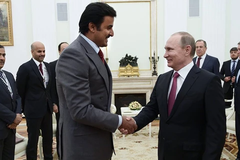 Tổng thống Nga Vladimir Putin hội đàm với Quốc vương Qatar Tamim bin Hamad Al Thani. (Nguồn: Sputnik International)