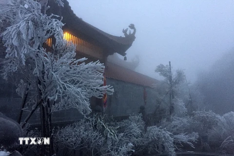Băng giá phủ trắng trên đỉnh Fansipan vào sáng 7/4. (Ảnh: Quốc Khánh/TTXVN)