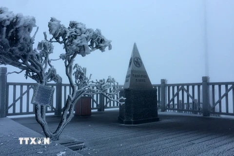 Băng tuyết phủ trắng trên đỉnh Fansipan vào sáng 7/4. (Ảnh: Quốc Khánh/TTXVN)