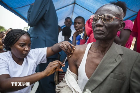 Tiêm phòng bệnh sốt vàng da cho người dân ở Kinshasa, Cộng hòa Dân chủ Congo ngày 20/7/2016. (Nguồn: AFP/TTXVN)