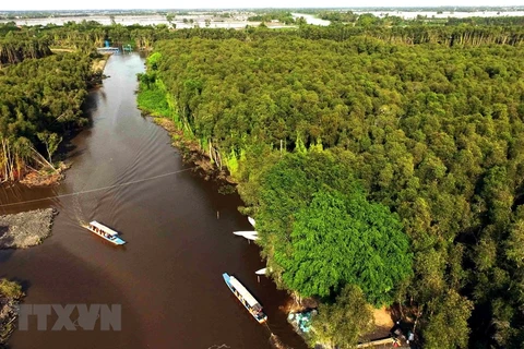 Một góc Đồng bằng sông Cửu Long. (Nguồn: TTXVN)