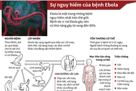 Ebola - một trong những bệnh nguy hiểm nhất thế giới