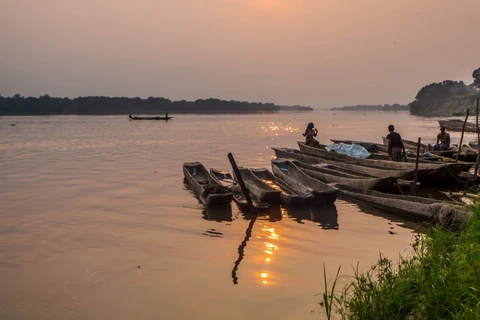 Một khúc sông Congo. (Nguồn: International Rivers)