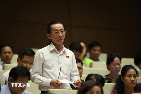 Đại biểu Quốc hội Thành phố Hồ Chí Minh Trần Hoàng Ngân phát biểu. (Ảnh: Dương Giang/TTXVN)