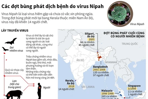 [Infographics] Các đợt bùng phát dịch bệnh do virus Nipah