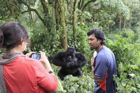 Du khách tại Công viên thú hoang dã Virunga. (Nguồn: Africanews)
