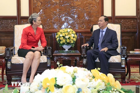 Chủ tịch nước Trần Đại Quang tiếp bà Nienke Trooster, Đại sứ Hà Lan tại Việt Nam đến chào từ biệt, kết thúc nhiệm kỳ công tác. (Ảnh: Nhan Sáng/TTXVN)
