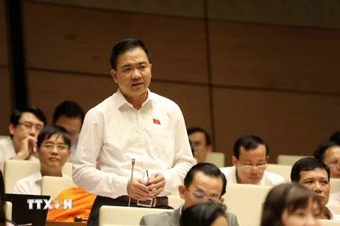 Đại biểu Quốc hội Thành phố Hồ Chí Minh Nguyễn Minh Đức phát biểu. (Ảnh: Phương Hoa/TTXVN)