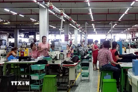 Công nhân Công ty trách nhiệm hữu hạn PouYuen Việt Nam (quận Bình Tân, Thành phố Hồ Chí Minh) trong giờ sản xuất tại khu B. (Ảnh: Thanh Vũ/TTXVN)