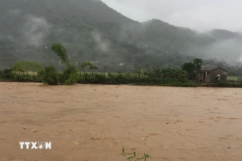 Mưa lũ gây ngập lụt tại huyện Văn Bàn, Lào Cai. (Ảnh: Hương Thu/TTXVN)