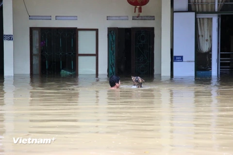 Nhiều ngôi nhà ở thành phố Hà Giang bị ngập chìm sâu trong biển nước. (Ảnh: Minh Tâm/Vietnam+)