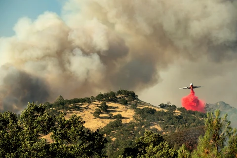 Cháy rừng tại California. (Nguồn: AP)