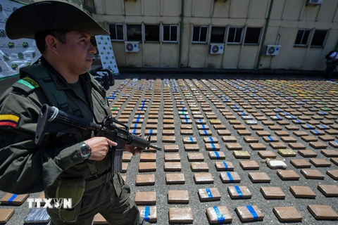 Cảnh sát Colombia gác bên số cocain bị thu giữ tại Buenaventura ngày 10/8/2017. (Nguồn: AFP/TTXVN)