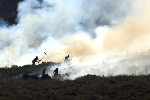 Nhân viên chữa cháy nỗ lực dập tắt cháy rừng. (Nguồn: Sky News)