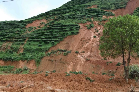 Sạt lở đất ở Lai Châu. (Nguồn: TTXVN)