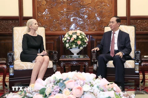 Chủ tịch nước Trần Đại Quang tiếp bà Siren Gjerme Eriksen, Đại sứ Na Uy tại Việt Nam đến chào từ biệt. (Ảnh: Nhan Sáng/TTXVN)