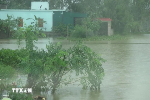 Nhiều diện tích lúa, ngô, rau màu, khu dân cư… ở Nghệ An bị ngập do bão số 3. (Ảnh: Nguyễn Văn Nhật/TTXVN)