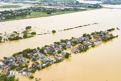 Mưa lũ gây ngập lụt tại huyện Nho Quan, Ninh Bình. (Ảnh: Minh Đức/TTXVN)